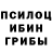Галлюциногенные грибы Psilocybine cubensis 3fitzgrld