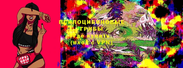 индика Аркадак