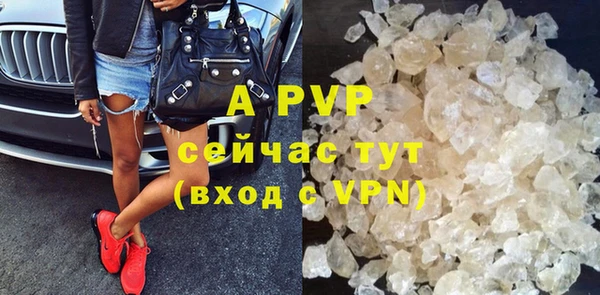 индика Аркадак