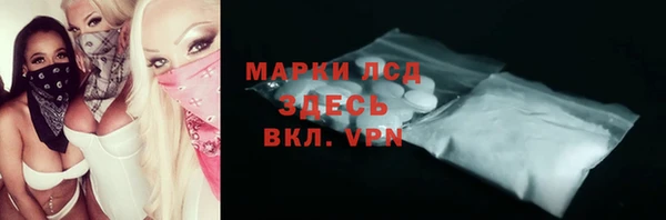 индика Аркадак