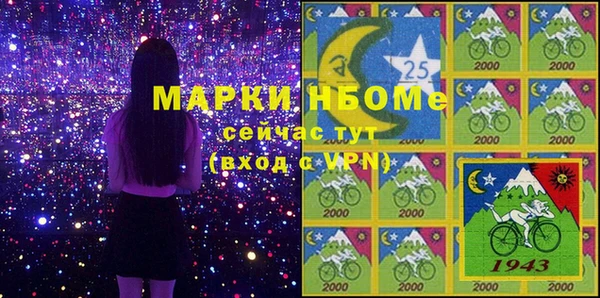 индика Аркадак