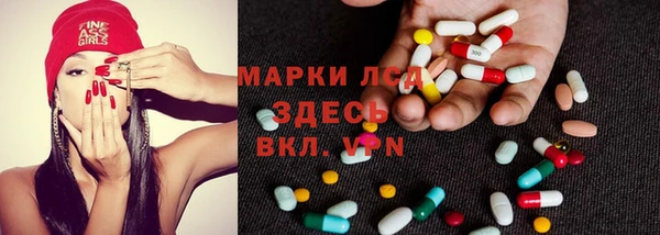 индика Аркадак